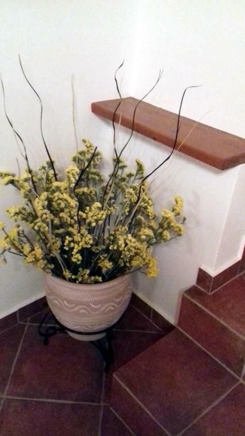 Olea Escape Villa In An Olive Estate Gythio Zewnętrze zdjęcie